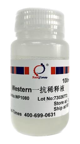 Western一抗稀釋液