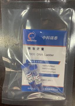 D2000 DNA ladder（100-2000bp）試用裝