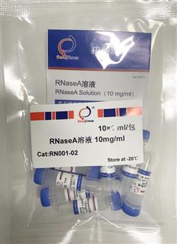 RNaseA溶液 10mg/ml